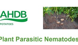 Plant Parasitic Nematodes